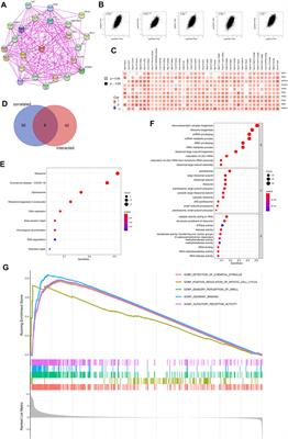 A Pan-Cancer Analysis of the Oncogenic Role of WD Repeat Domain 74 in Multiple Tumors